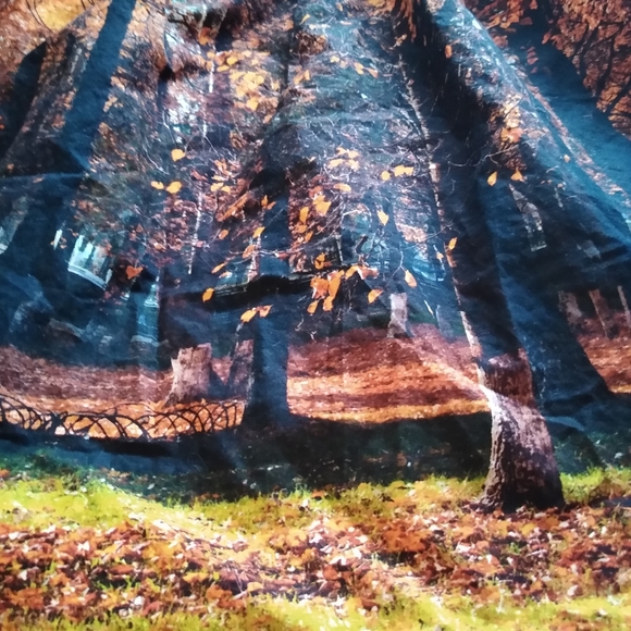 NWOT MODCLOTH fall leaves 💯 cotton fit and flare skirt - Picture 4 of 12